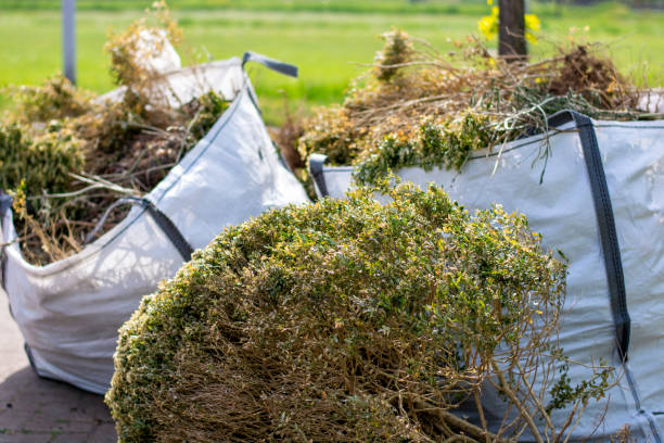 Best Estate Cleanout  in Poway, CA